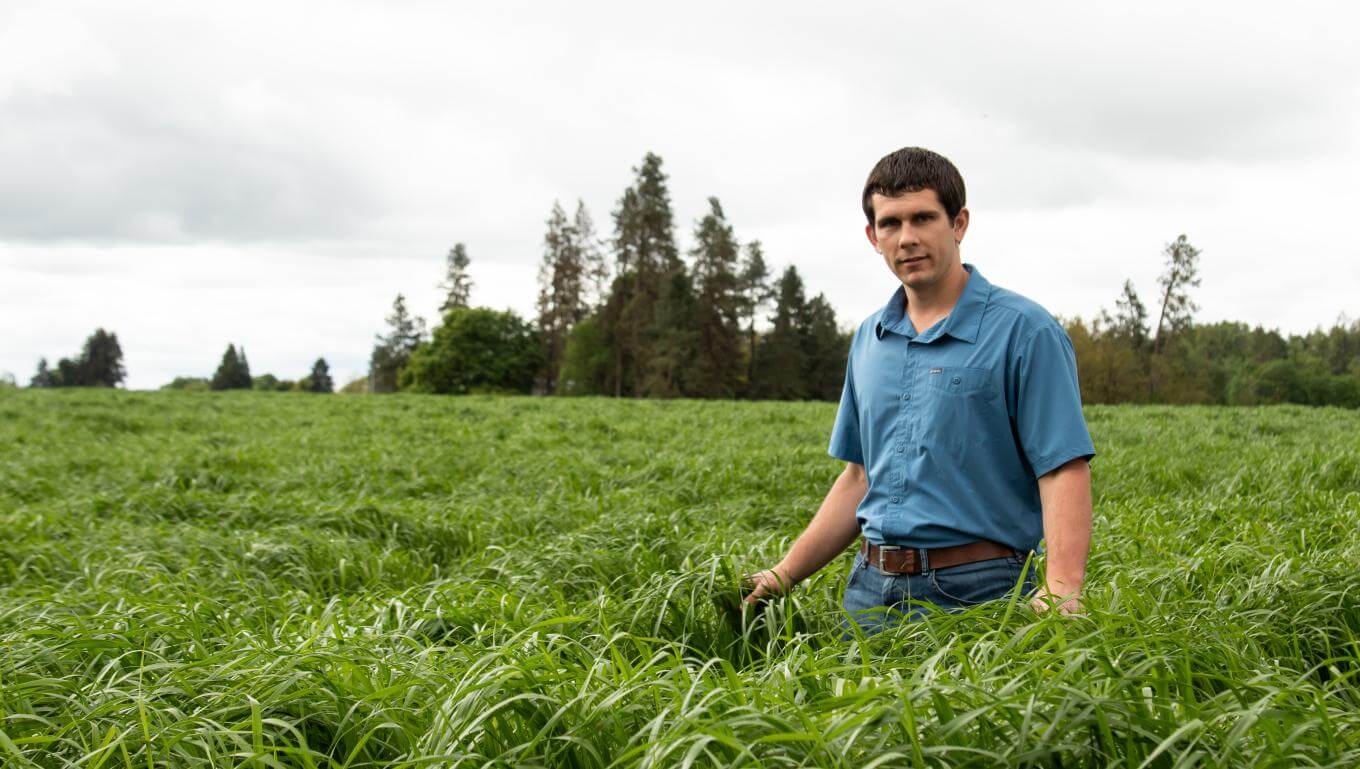 Dexter production field in Oregon | May 2022