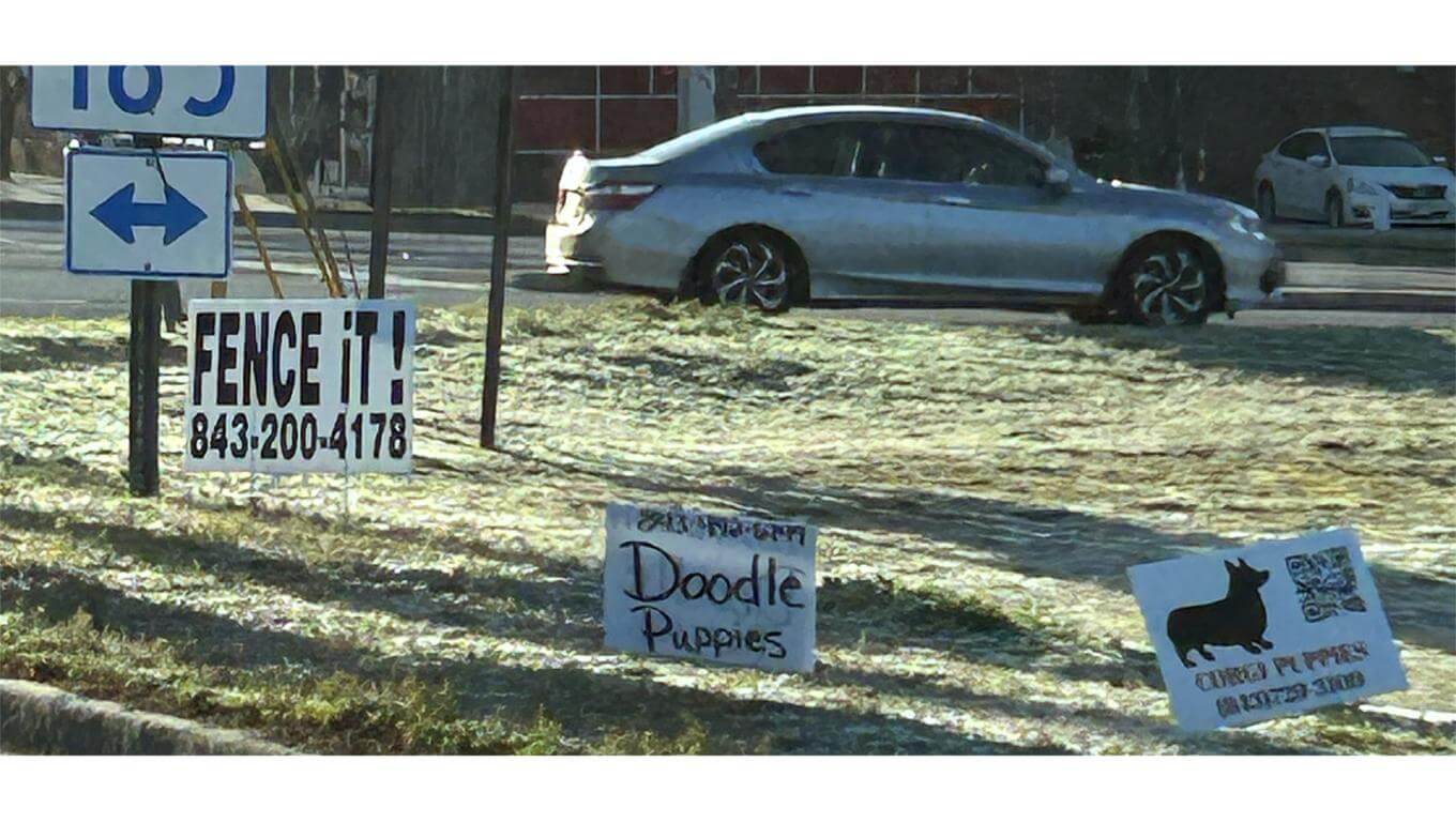 A street corner with signs in the grass