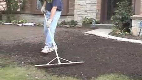 Preview image for the video "New Lawn Part 6 - My Favorite Lawn Tool". Preview image for the video "New Lawn Part 6 - My Favorite Lawn Tool".
