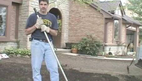 Preview image for the video "New Lawn Part 7 - Create the Right Environment". Preview image for the video "New Lawn Part 7 - Create the Right Environment".