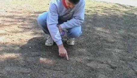 Preview image for the video "New Lawn Part 12 - Review the Seeding Job". Preview image for the video "New Lawn Part 12 - Review the Seeding Job".