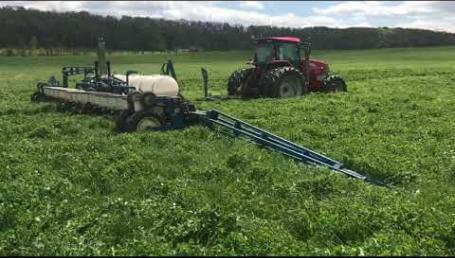 Preview image for the video "No-till planting into LowBoy and crimson clover mix - Eastern PA, May 2020".