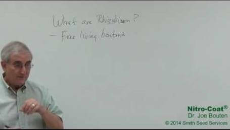 Preview image for the video "Part 1 - What are Rhizobium?". Preview image for the video "Part 1 - What are Rhizobium?".