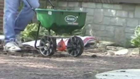 Preview image for the video "New Lawn Part 11- Spreading the Seed". Preview image for the video "New Lawn Part 11- Spreading the Seed".