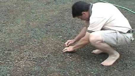 Preview image for the video "New Lawn Part 18 - Millions of New Plants - WOW!". Preview image for the video "New Lawn Part 18 - Millions of New Plants - WOW!".