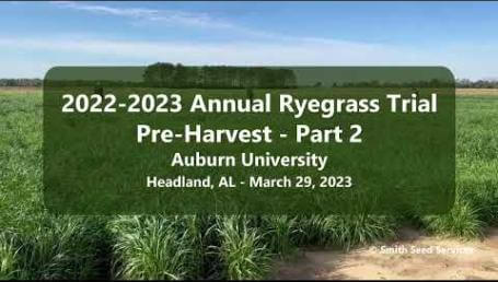 Preview image for the video "2022-2023 Auburn University Annual Ryegrass Trial – Headland, AL – Pre-Harvest - Part 2". Preview image for the video "2022-2023 Auburn University Annual Ryegrass Trial – Headland, AL – Pre-Harvest - Part 2".