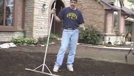 Preview image for the video "New Lawn Part 8 - Competing With Trees". Preview image for the video "New Lawn Part 8 - Competing With Trees".