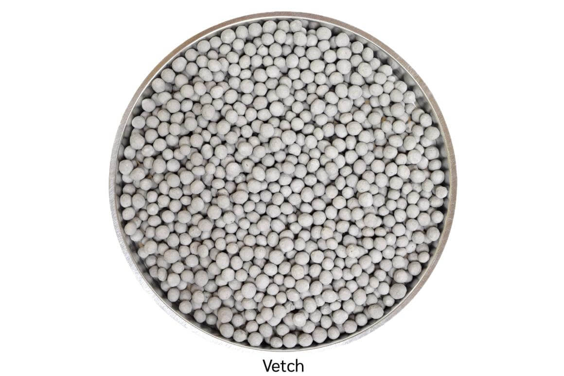 Common Vetch Vicia sativa | Smith Seed Services