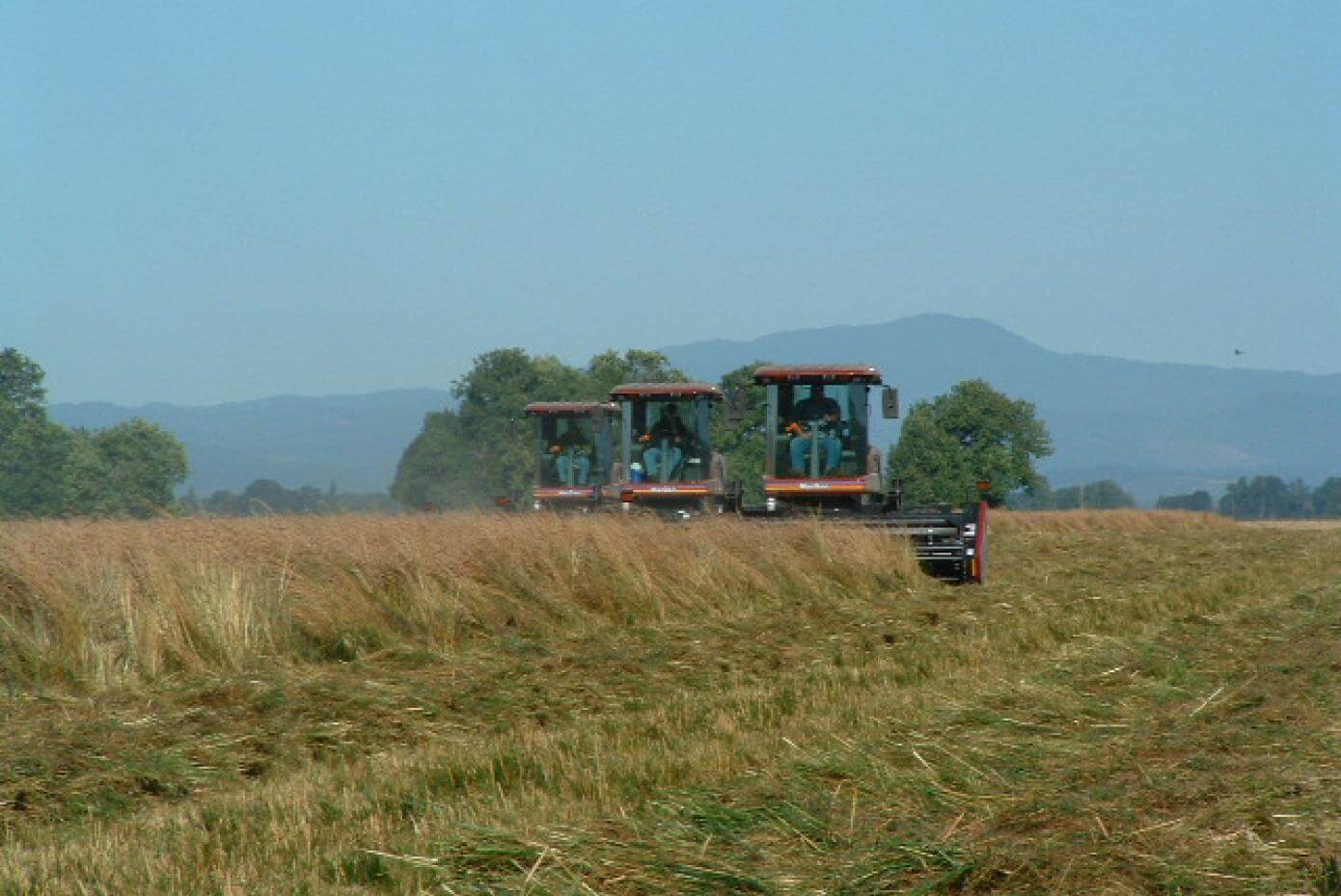 Tractor harvesting seed