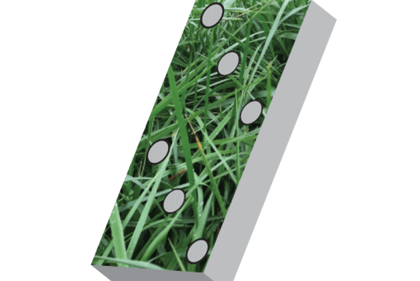 Illustration of domino with image of grass water overlaid on it.