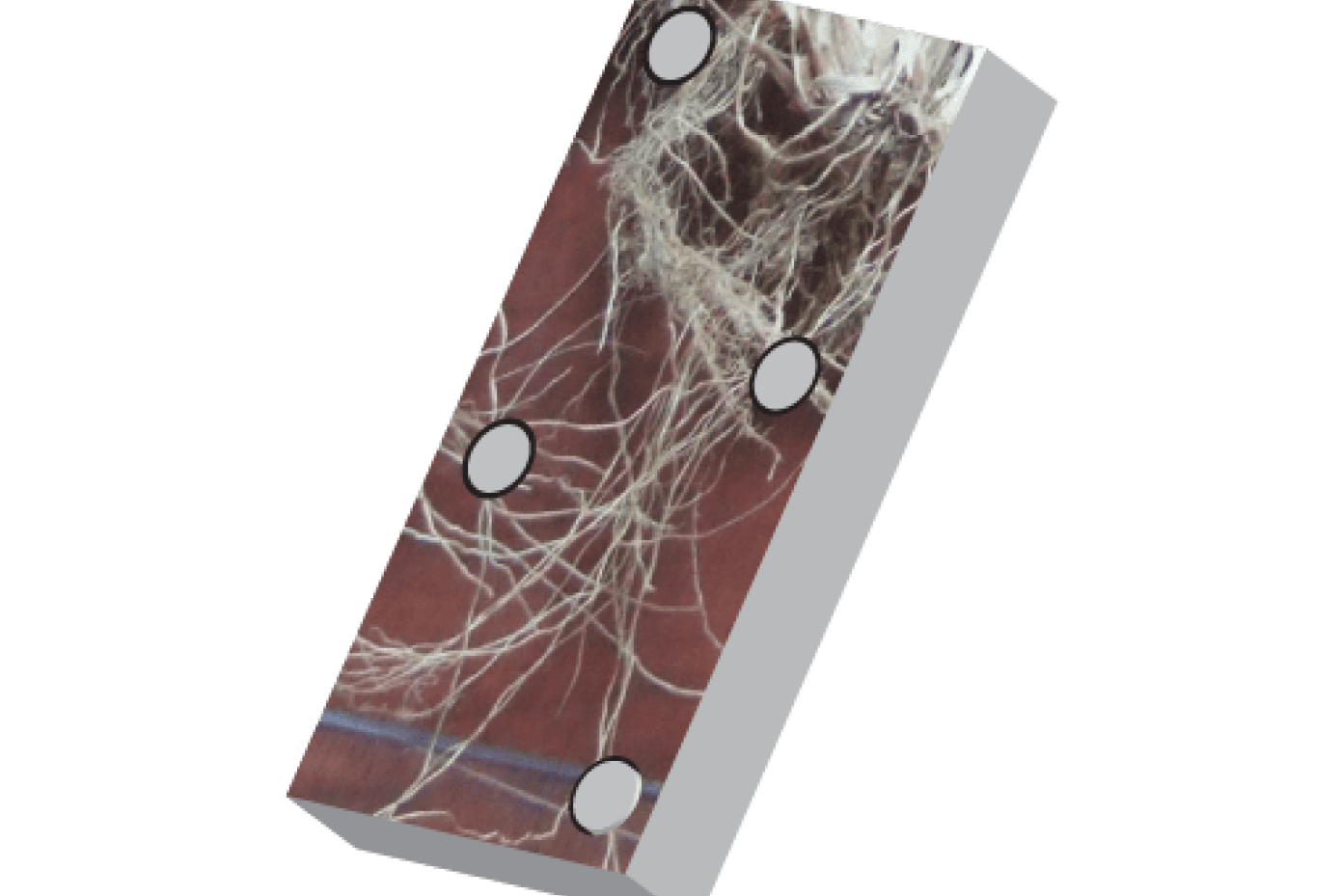 Illustration of domino with image of roots overlaid on it.