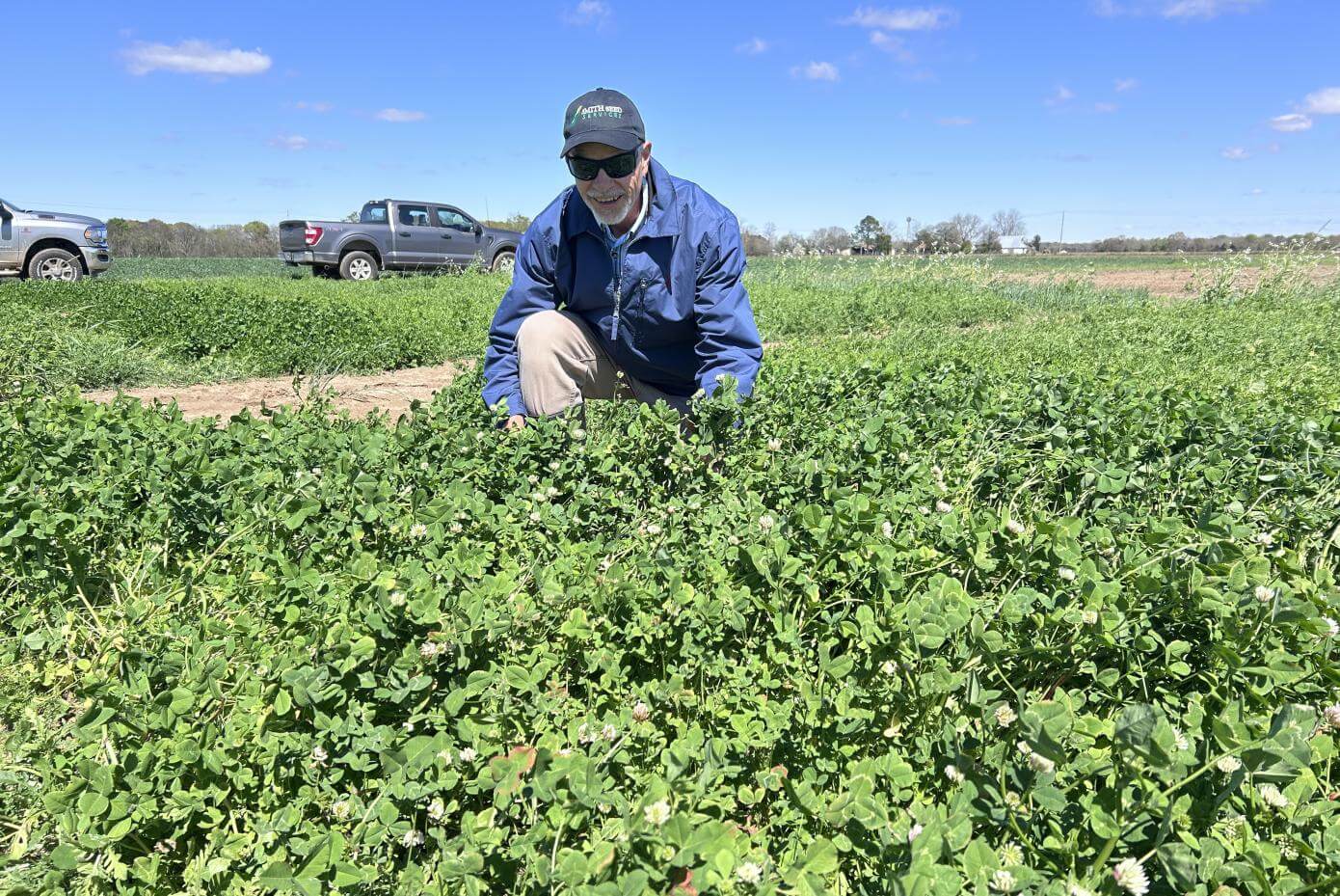 Person in a blue jacket and hat kneeling in a dense green field of clover, with a vehicle now appearing on the left side and a bright blue sky overhead.