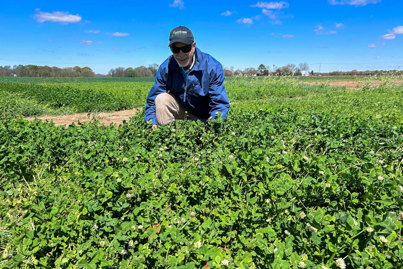 Person in a blue jacket and hat kneeling in a dense green field of clover, with a vehicle now appearing on the left side and a bright blue sky overhead.