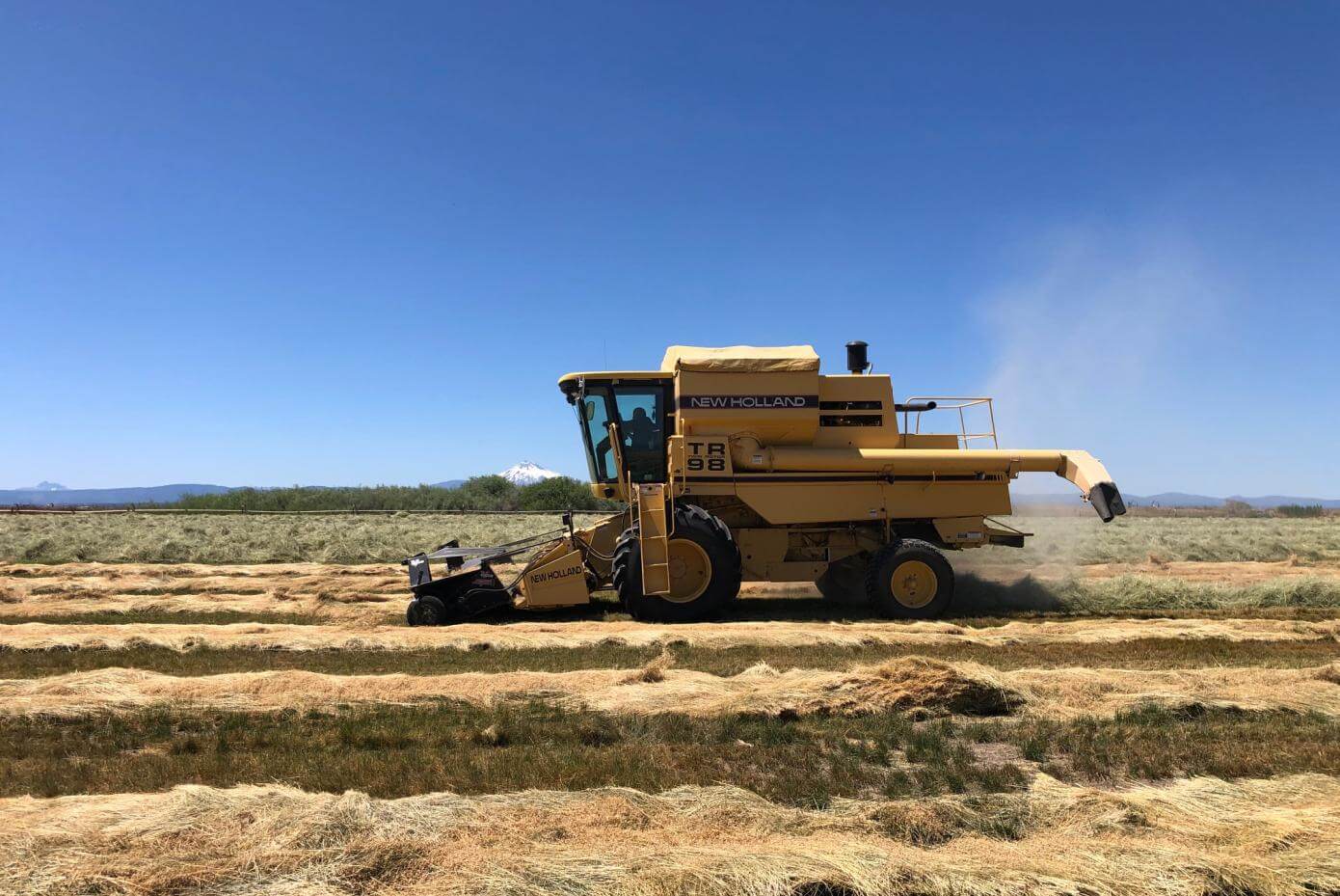 Tractor harvesting seed