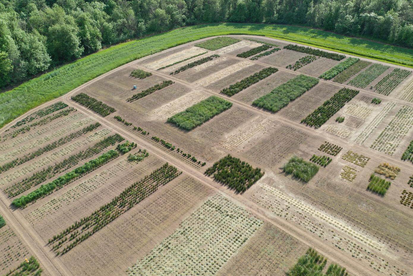 Smith Seed research farm plots