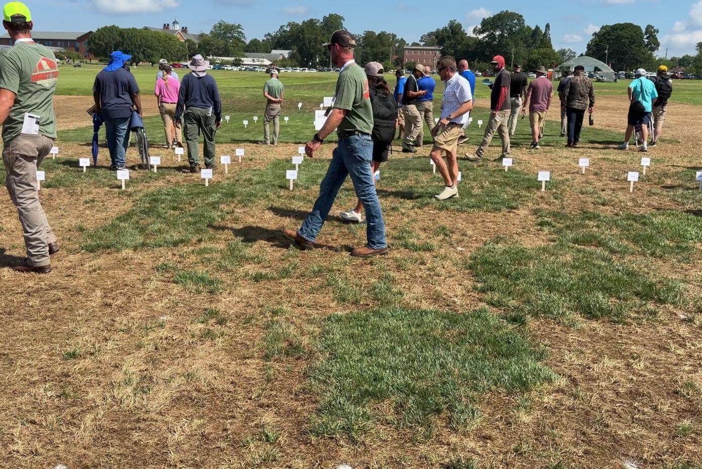 A crowd of people walking and standing on a patchy grass surface. Some of the grass is green while the rest is dead and brown.