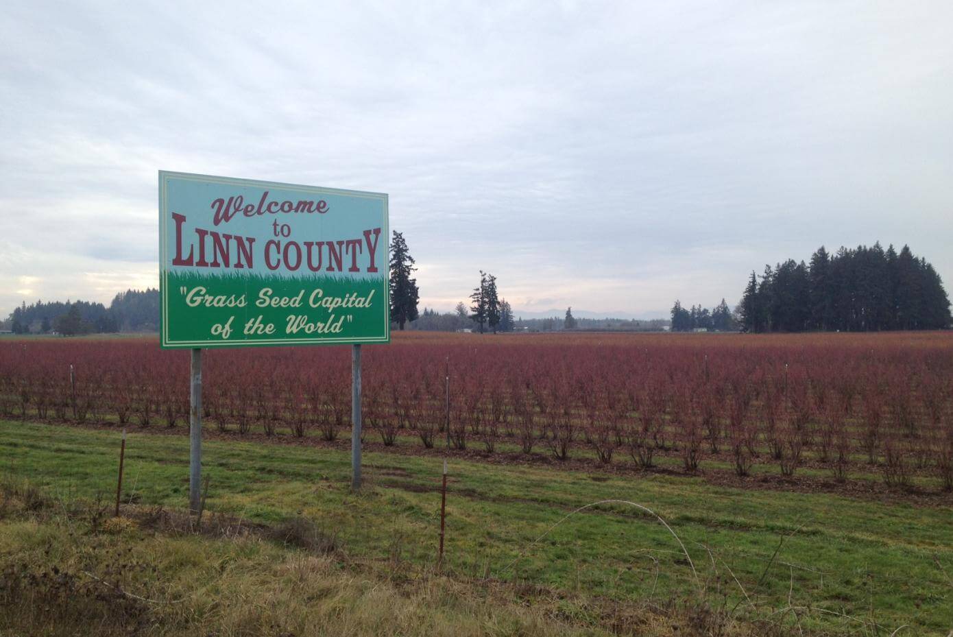 Sign saying "Grass Seed Capital of the World"