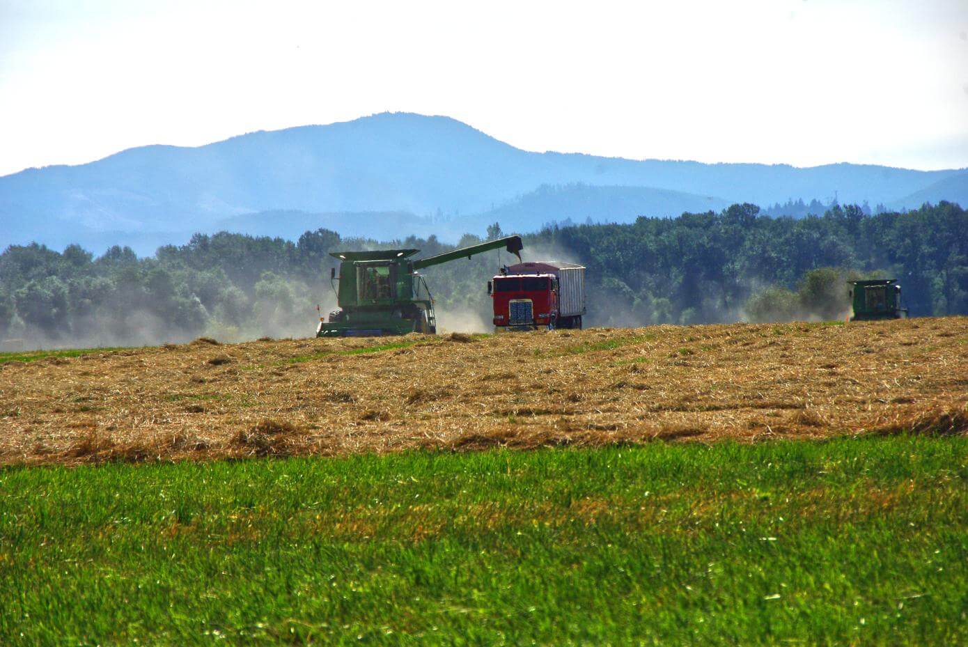 Harvesting grass seed