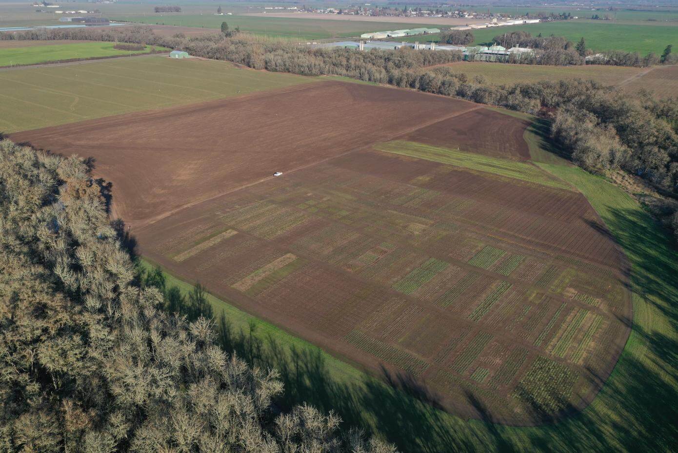Smith Seed Services research farm aerial view. 