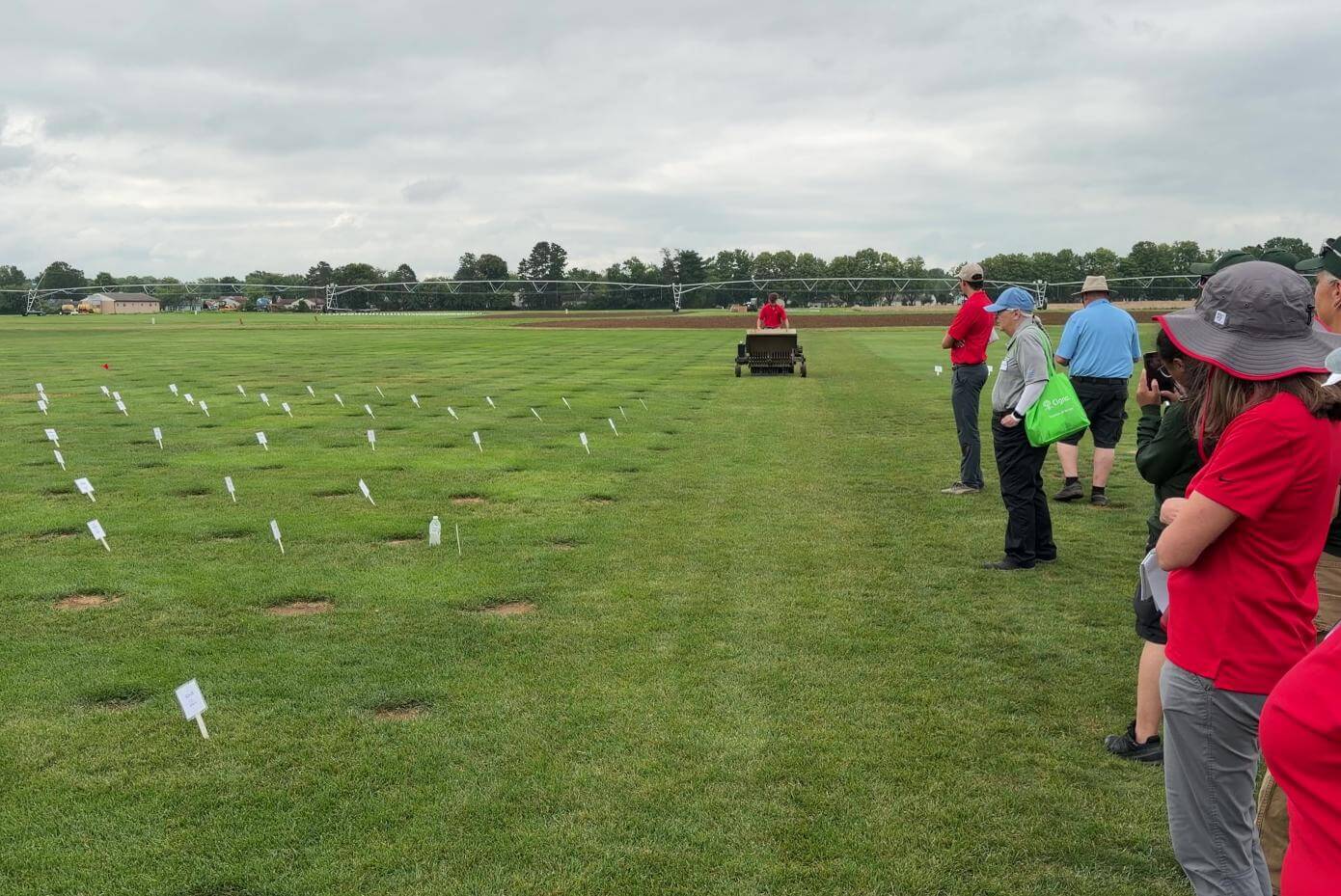 A group of people stand on a grassy field watching a small machine operating in the distance. The field is marked with many small white flags arranged in a grid, suggesting an outdoor demonstration or research test plot.
