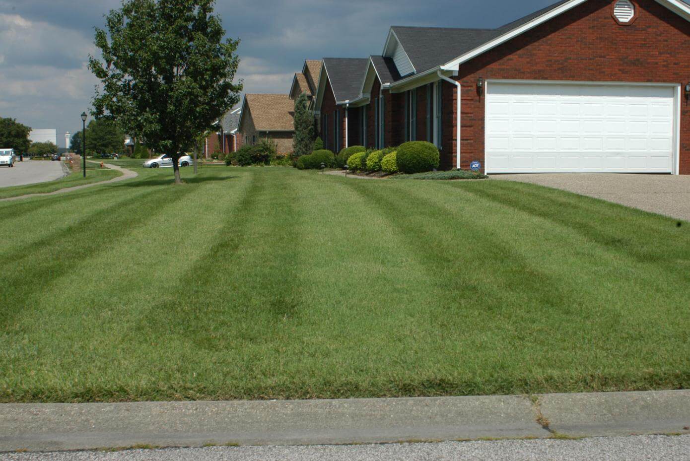 Titan Ltd lawn in Kentucky