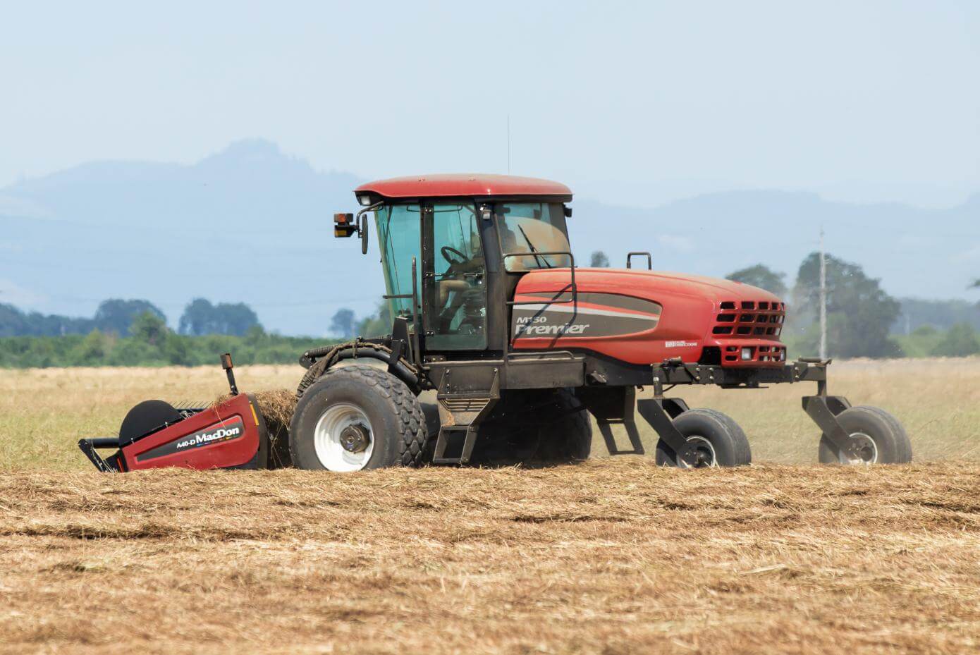 Windrower harvesting seed