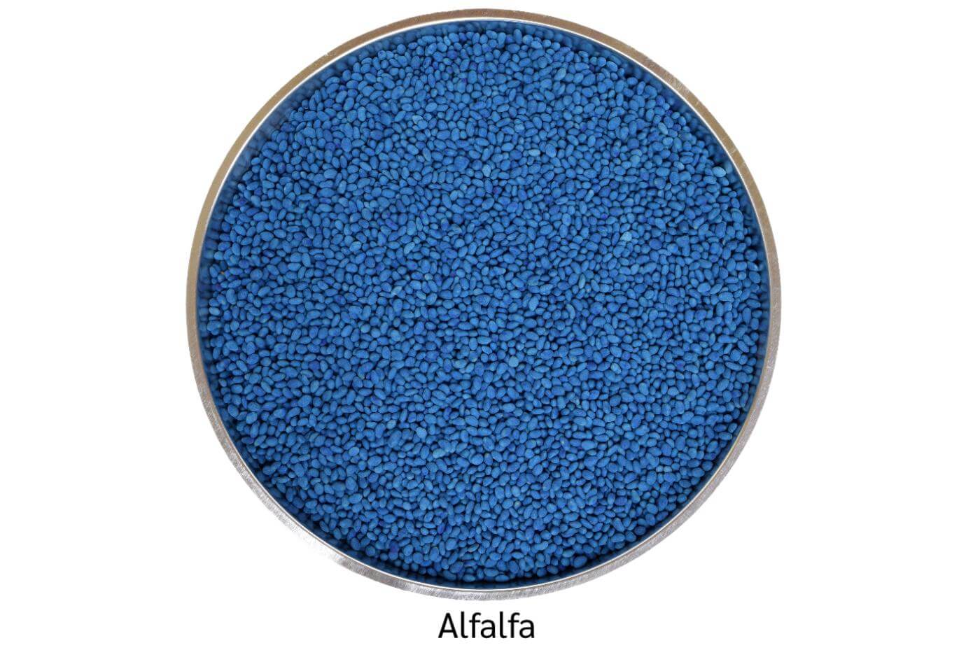 Coated alfalfa seed