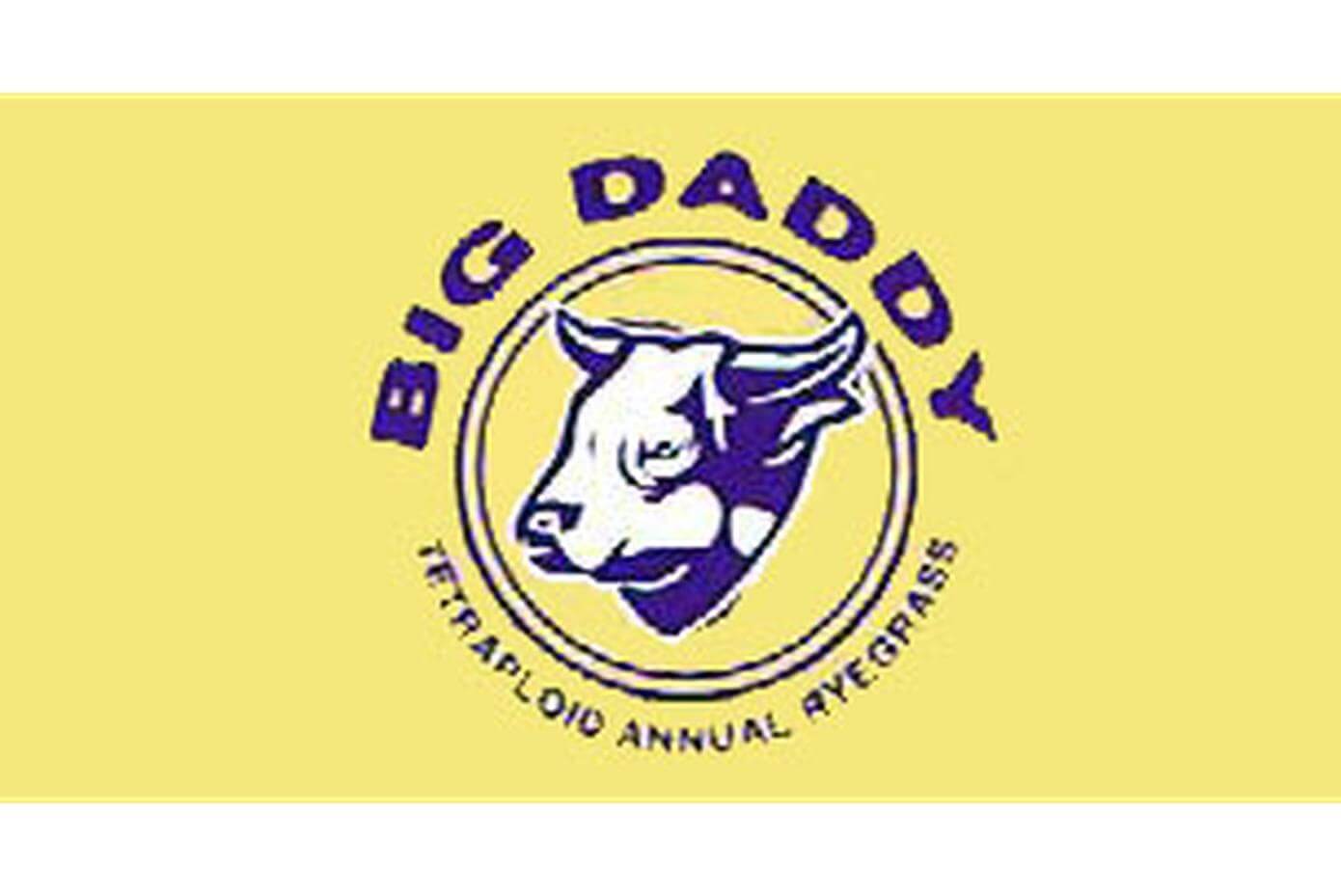 Big Daddy tetraploid annual ryegrass logo