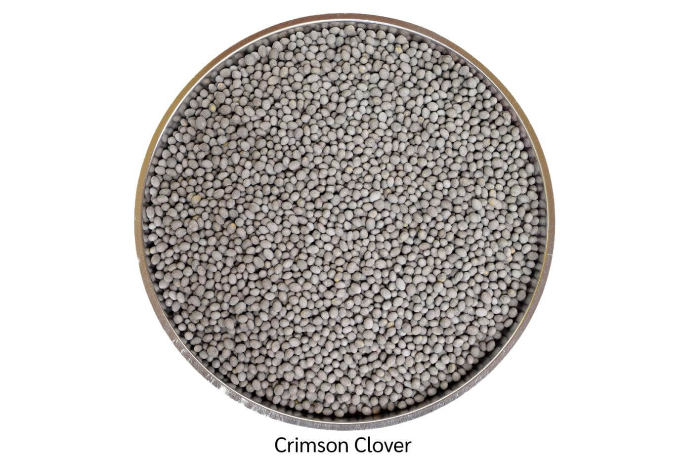 Coated crimson clover seeds