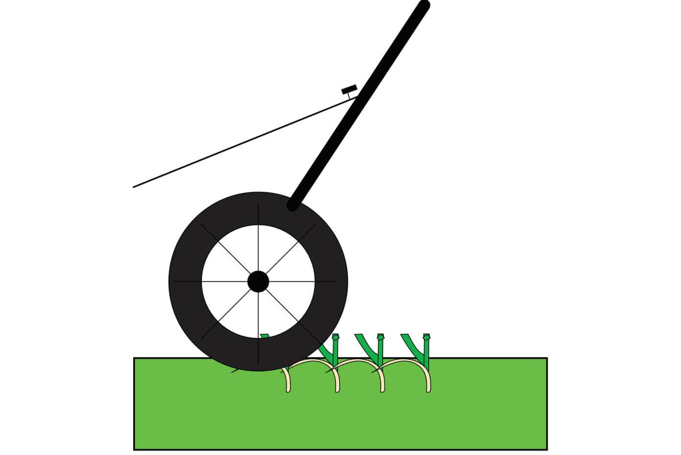 Close up illustration of mowed grass plants.