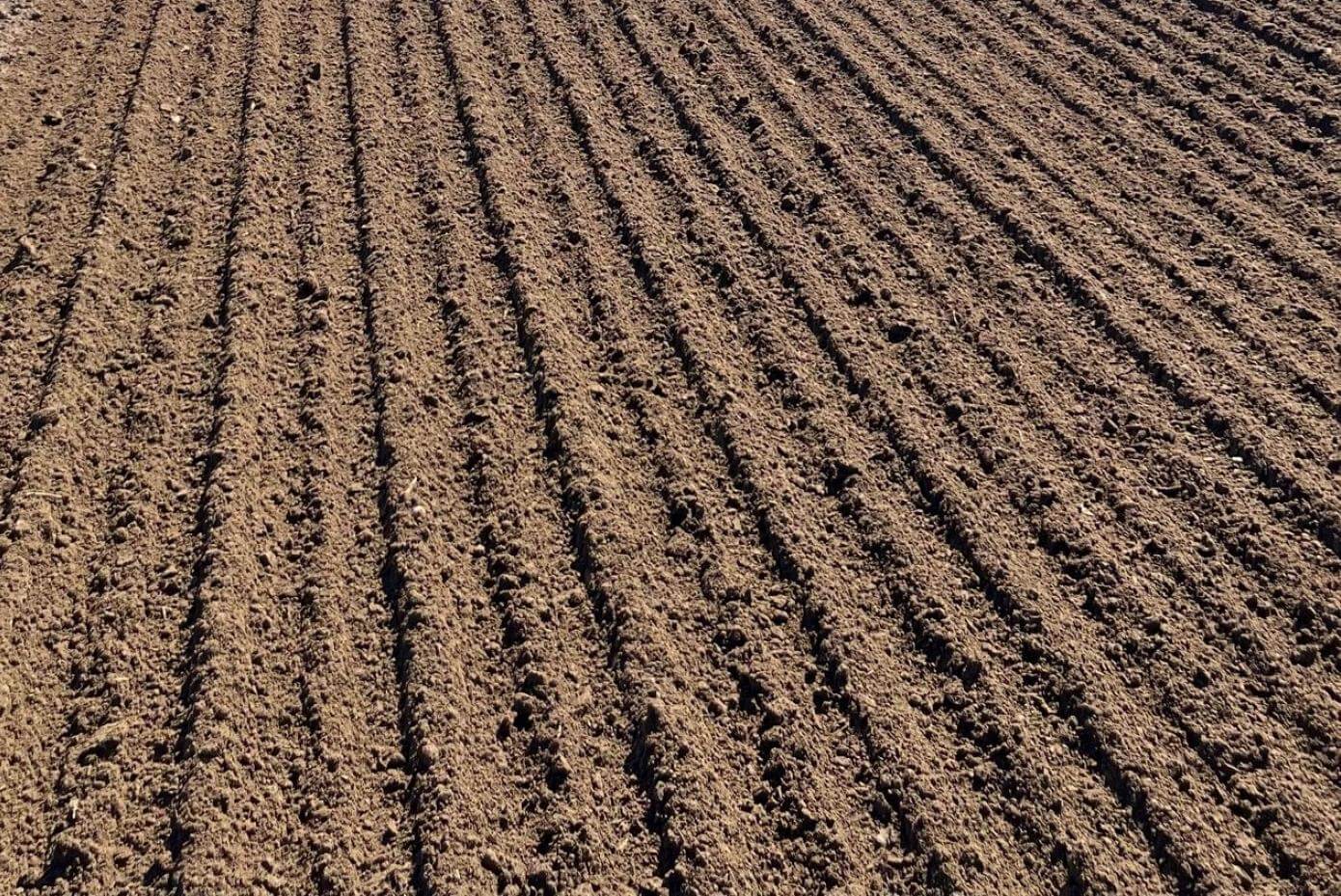 Dark brown dirt with even rows indicating a field ready for planting.