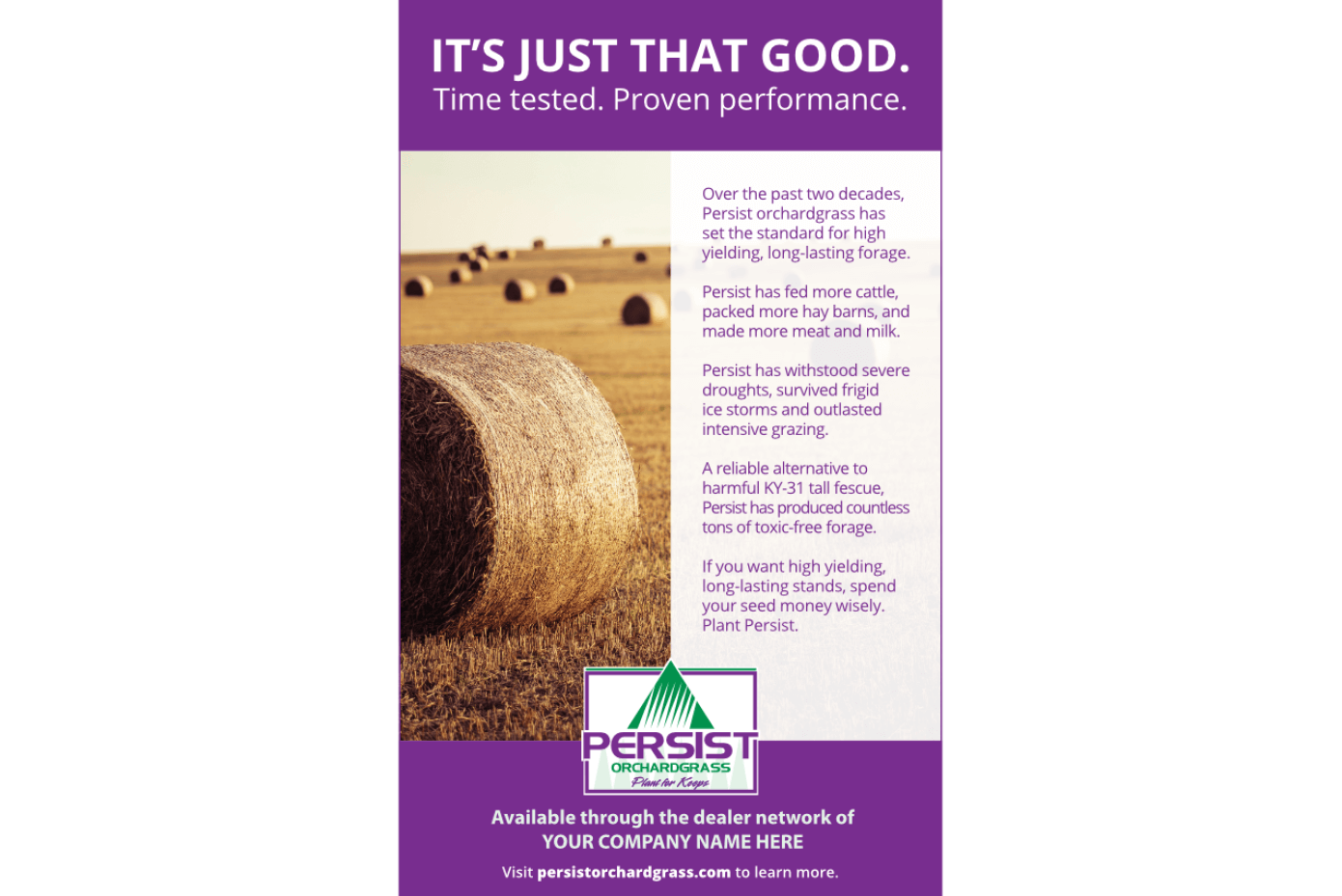 Persist orchardgrass ad