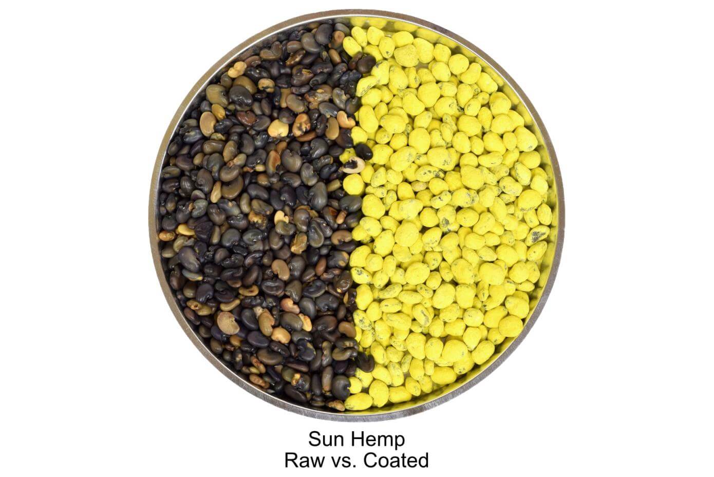 Raw vs. Coated Sun Hemp Seeds