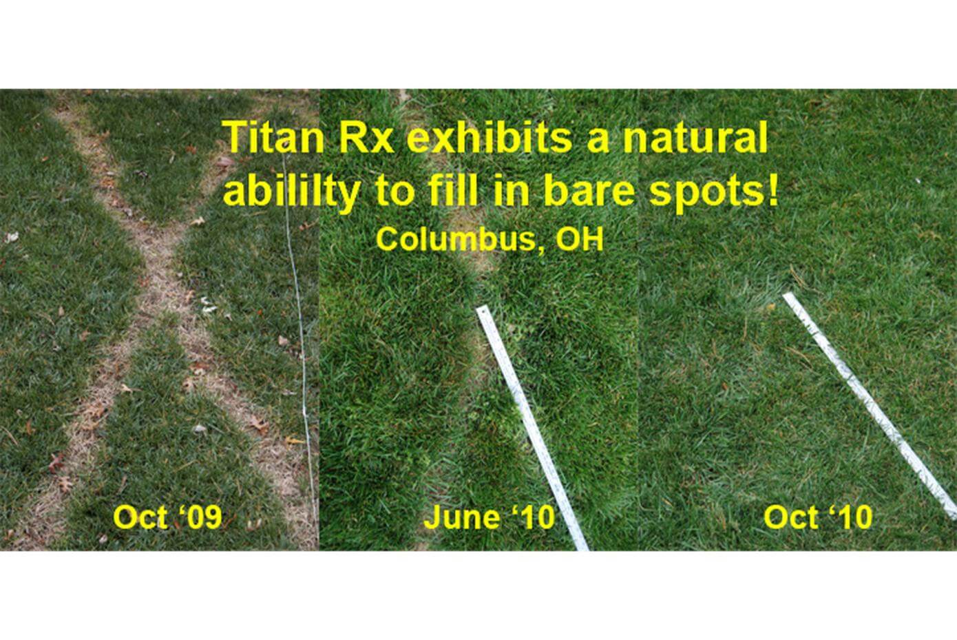 Demonstration of how Titan Rx can fill in an "X" over time that has been killed