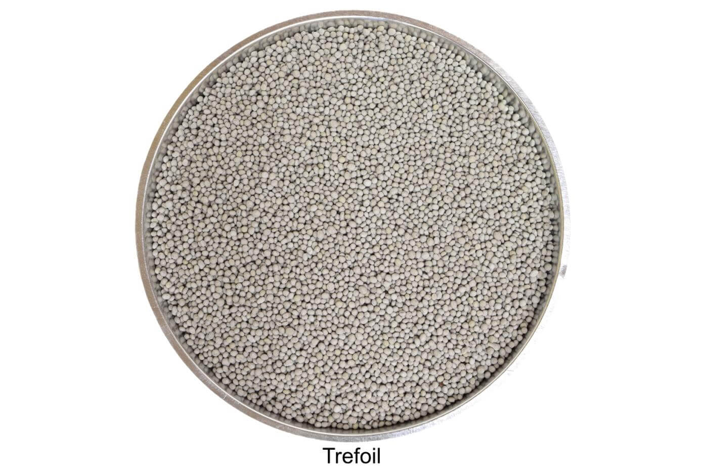 coated Trefoil seeds