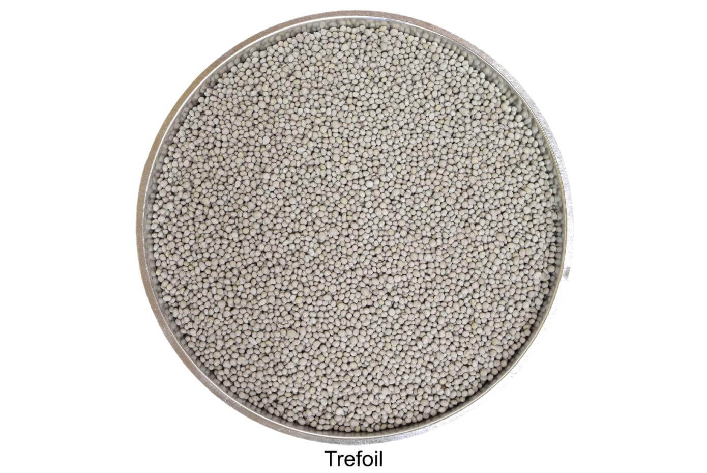 coated Trefoil seeds