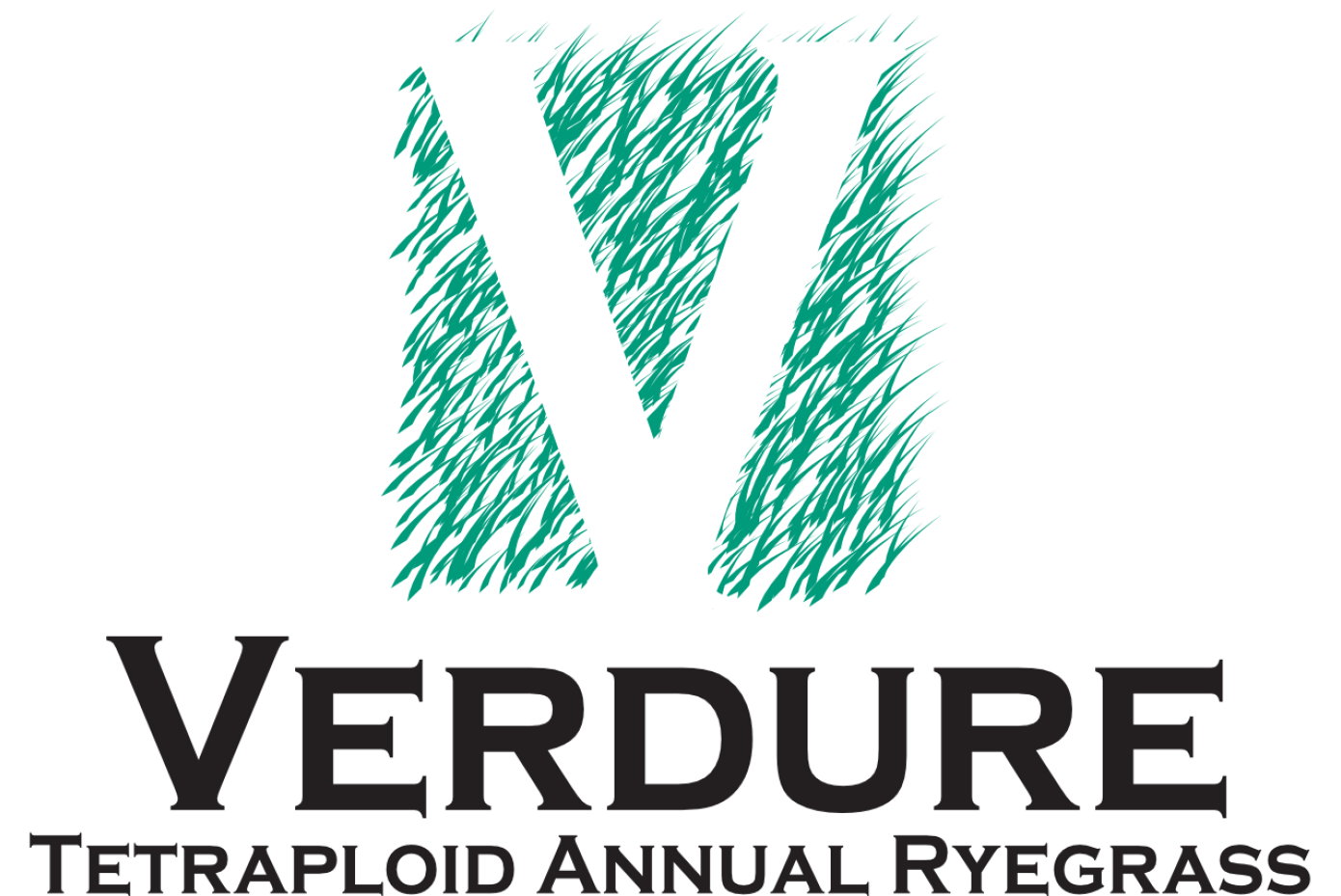 Verdure tetraploid annual ryegrass logo