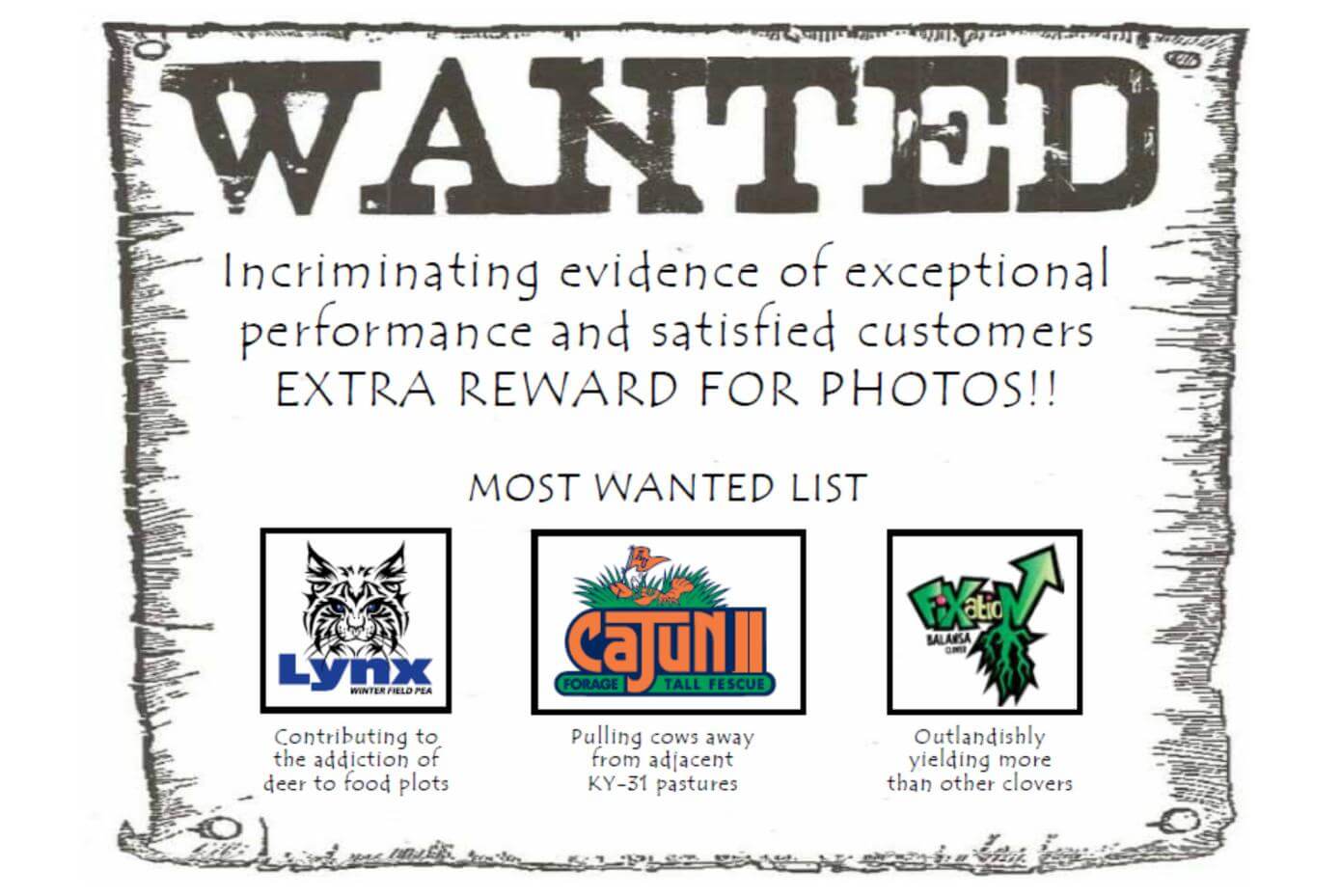 Illustration of a wanted ad.