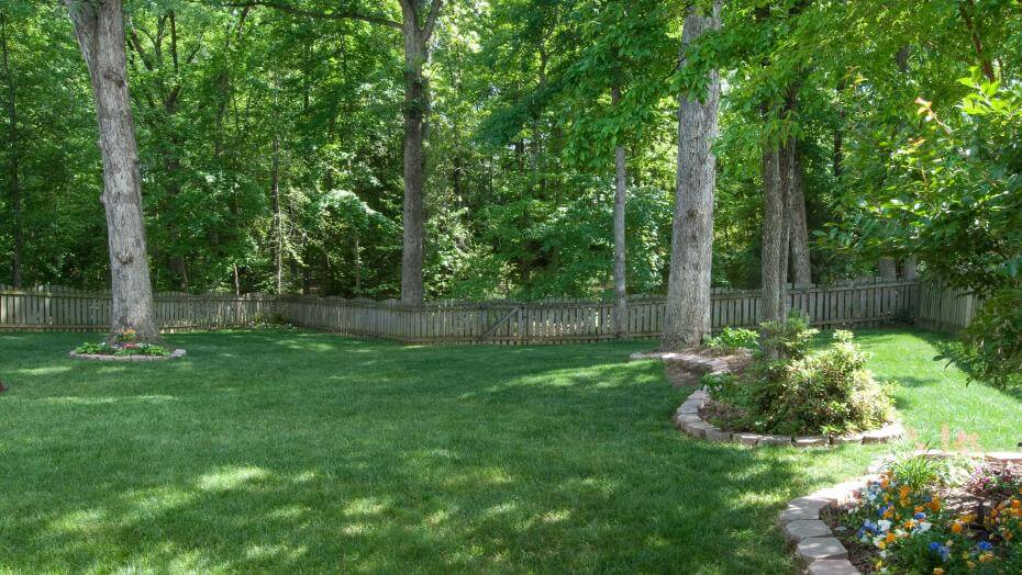 lawn