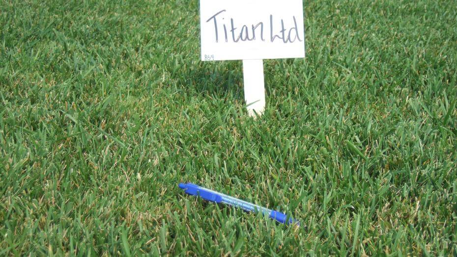 A dense patch of mowed grass with a sign and a ball point pen on it.