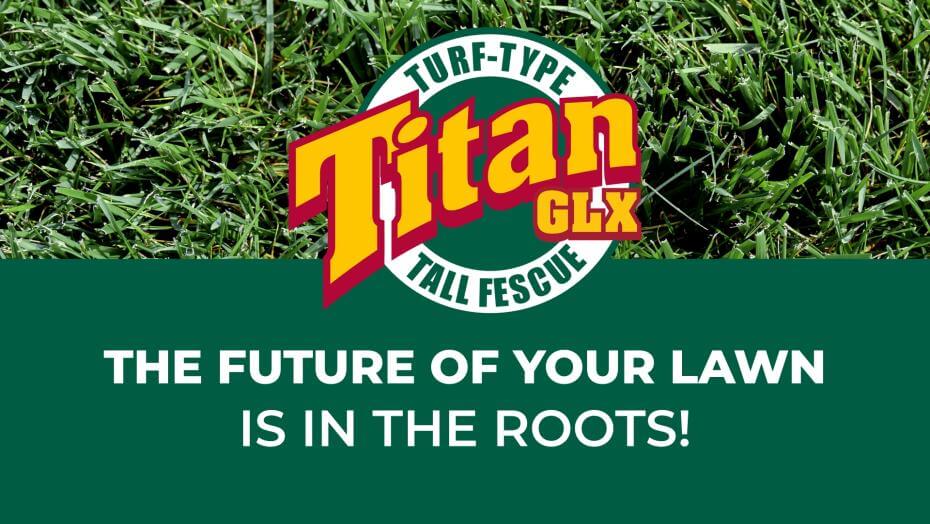 Promotional graphic for Titan GLX Turf-Type Tall Fescue featuring bold red and yellow logo over lush green grass, with slogan "The future of your lawn is in the roots!"